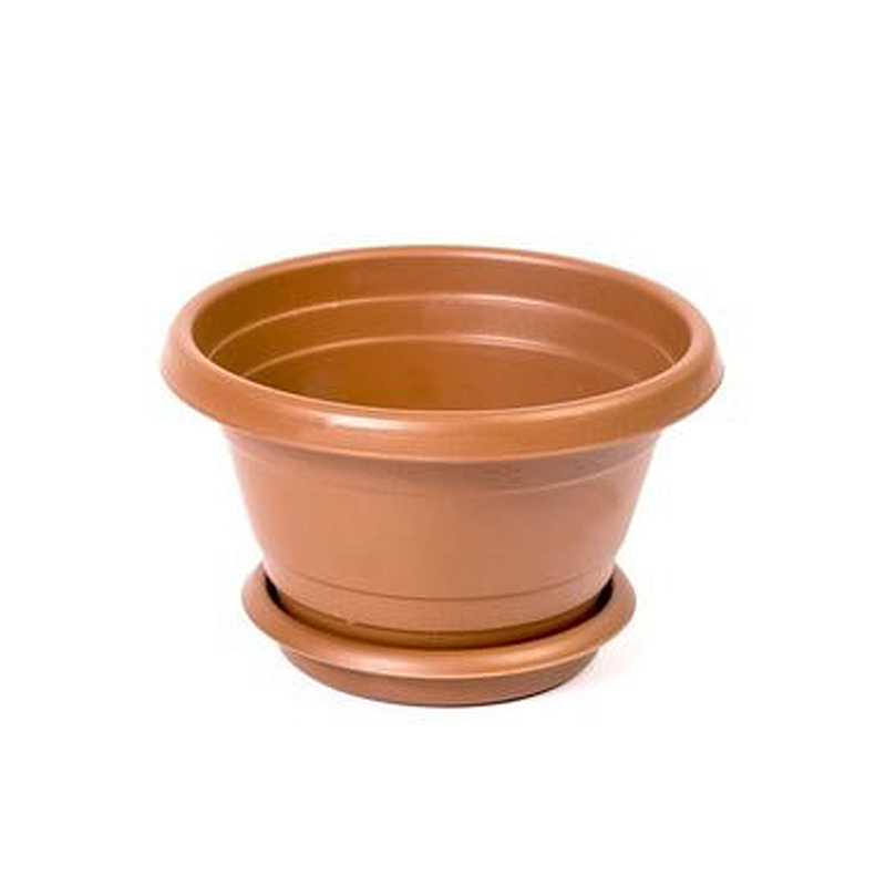 Hak Saksı Menekse Natural 3 No