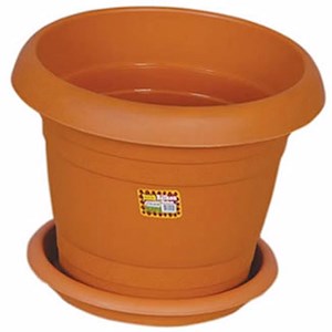 Hak Saksı 9 No 55 Lt Antık