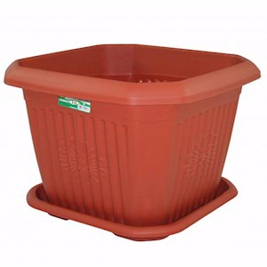 Hak Saksı Kare 10 No 126 Lt 10354