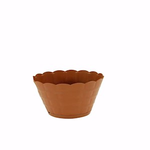 Saglam Saksı Papatya 0 No 1,3 Lt 245