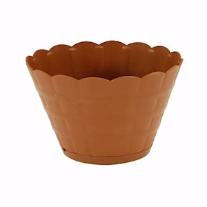 Saglam Saksı Papatya 4 No 10 Lt 249