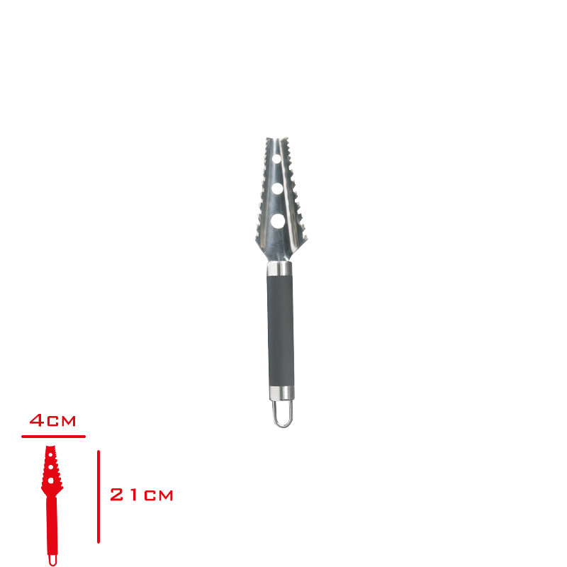 Evmonı Balık Pulu Temizleyici Evm-01082/110191