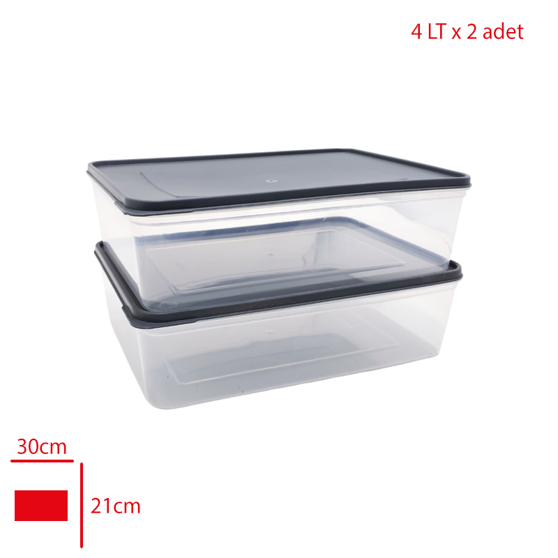 Mefa Saklama Kabı Freshkeep 2'li 4 Lt 200.009