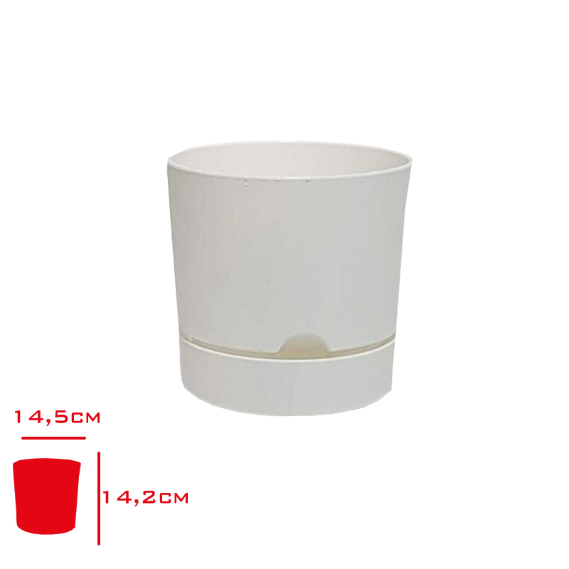Polıwork Saksı Begonya 15 Cm Beyaz B-15by