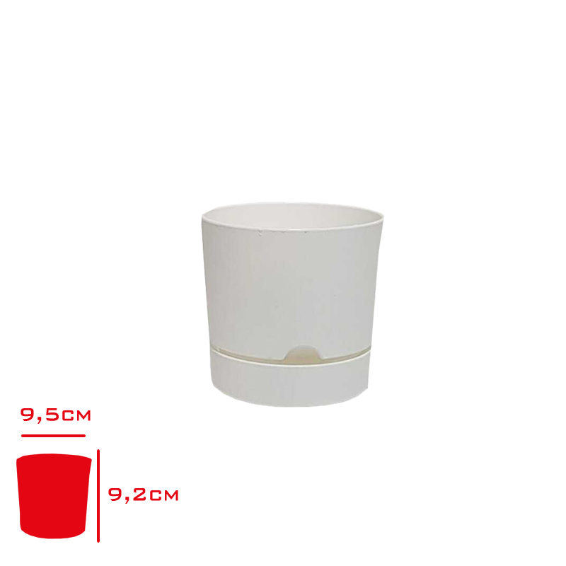 Polıwork Saksı Begonya 9 Cm Beyaz B-9by