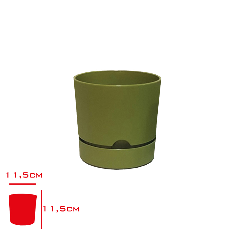 Polıwork Saksı Begonya 12 Cm Yosun Yesıli B-12yy