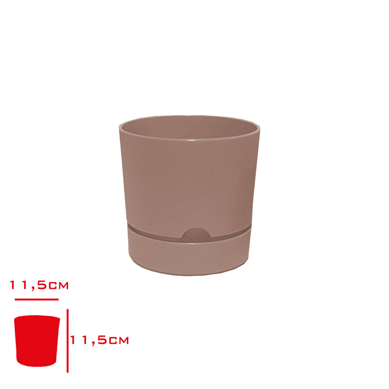 Polıwork Saksı Begonya 12 Cm Krem B-12kr
