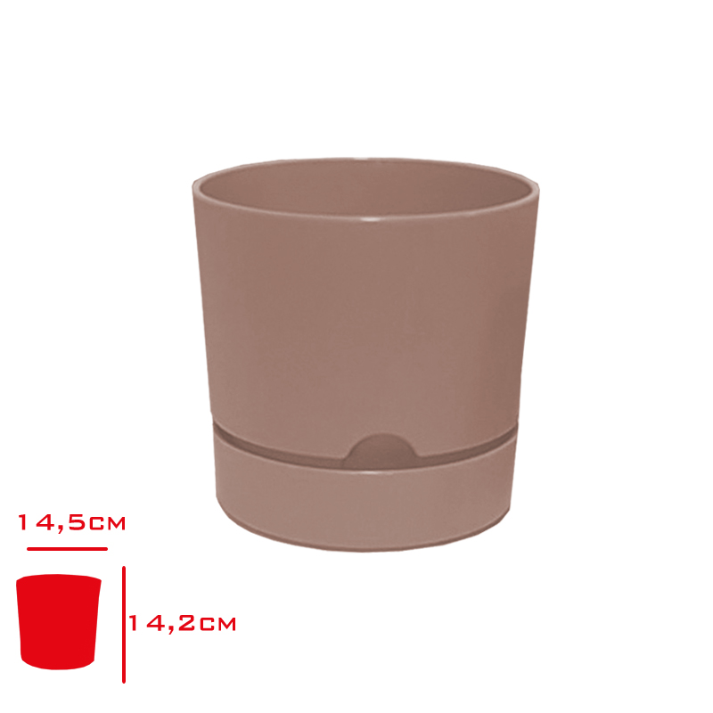 Polıwork Saksı Begonya 15 Cm Krem B-15kr