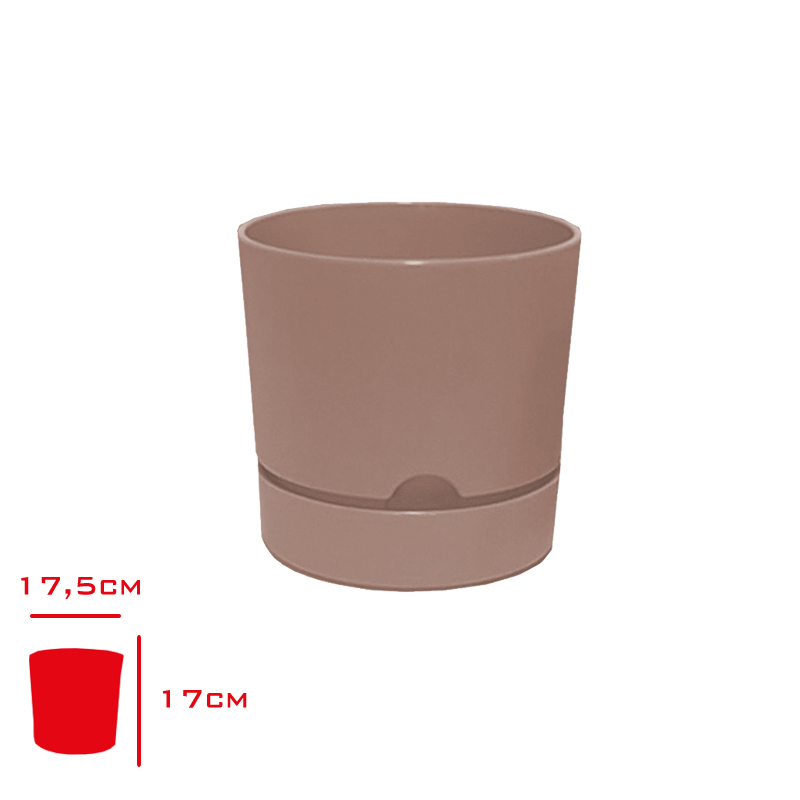 Polıwork Saksı Begonya 18 Cm Krem B-18kr