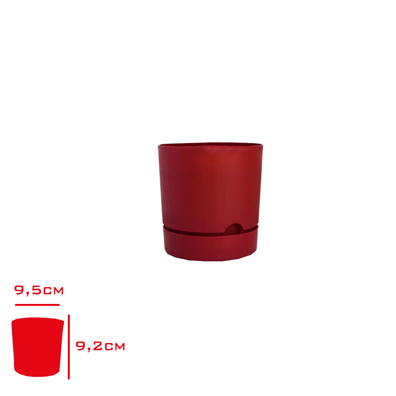 Polıwork Saksı Begonya 9 Cm Bordo B-9br