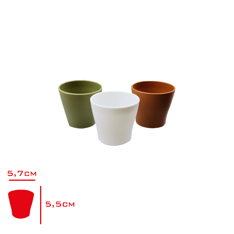 Polıwork Kaktus Saksı Pastel 5,5 Cm Mıx G-C55-P